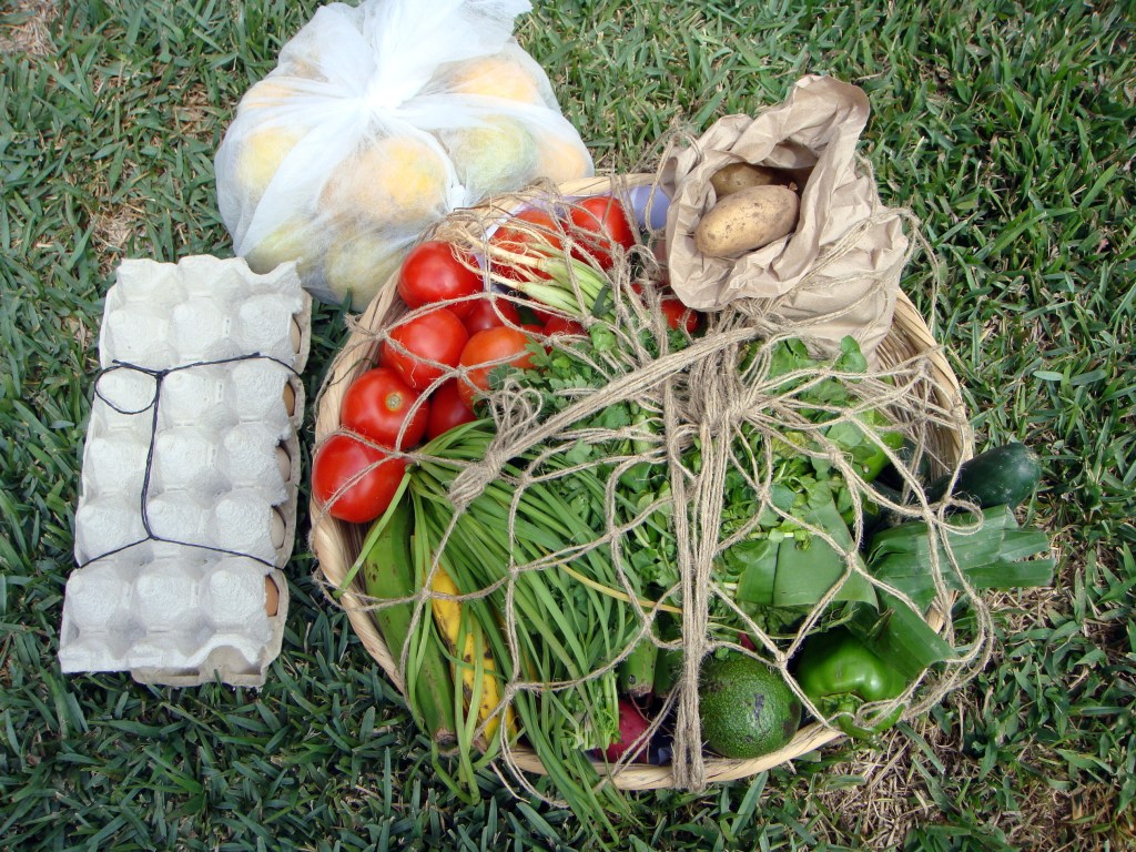 La canasta campesina