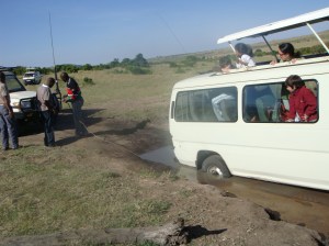 ¡Ay, que viene el león!