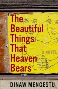 The Beautiful Things That Heaven Bears by Dinaw Mengestu. NY: Riverhead Books, 2007