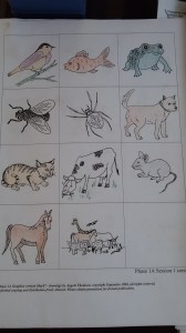 19. Dibujos de Angela Thomson. Foto: eaTropía 