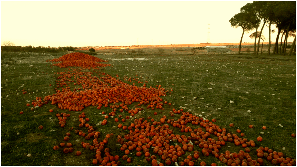 Caminante no hay&nbsp;camino…